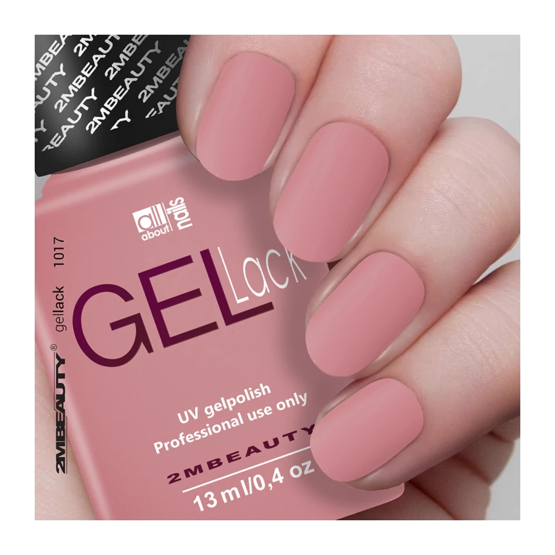 Gel Lack - Matt 1017